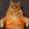 KoT's profile picture