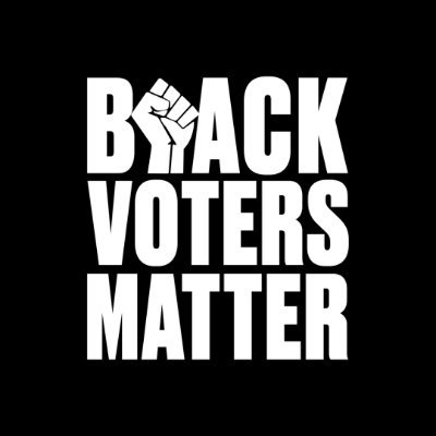 Black Voters Matter Fund's profile picture