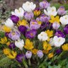 Фото профиля Cigdems