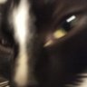 Profilbild von Hi