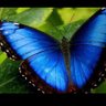 Фото профиля العآليَـة