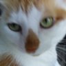 Just Az I Sez profil fotoğrafı