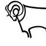 Tim Dolman's profile picture