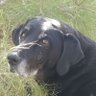 Dan Webster still tweets's profile picture