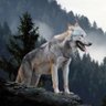 Viejo Lobo 22 profil fotoğrafı
