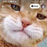 Profilbild von Neng Yima