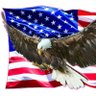 Eric Granick's profile picture