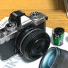 はっちゃん(うりぼう) profil fotoğrafı