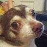 Randy Derouen's profile picture