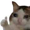 flapjackim's profile picture