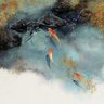 METEORH 的头像