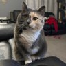 Redhedchick80's profile picture