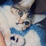 Profilbild von 田中早苗✨️✨️💫✨️✨️