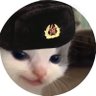 Cat Bastard Quinn's profile picture