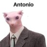 rwalten frog's profile picture