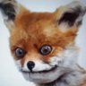 Adrian Paraoaru's profile picture