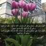 Profilbild von فهد