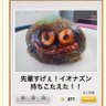Profilbild von かおるくん