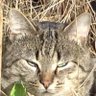 poekie & peter's profile picture