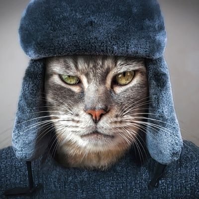 Justinsmith1409's profile picture