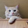 Фото профиля ひろちゃん