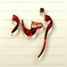 Farhad Langroudi's profile picture
