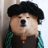 ペコ丸 的头像