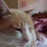 yvelise gibert profil fotoğrafı