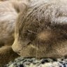 G8MER profil fotoğrafı