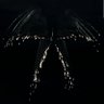 Owam GELem's profile picture