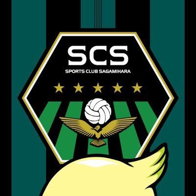 SC相模原's profile picture