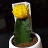 Фото профиля けいちゃん