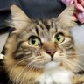 かっちゃん's profile picture