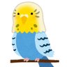 いんで profil fotoğrafı