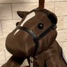 あんこく 的头像