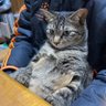 Profilbild von ノリくん