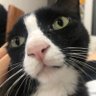 Profilbild von 豆子