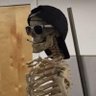 King jooj profil fotoğrafı