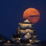 鉄舟あまてつ ミラカサ 的头像