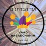 Profilbild von Vaad HaBadchanim