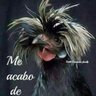 Profilbild von Alicia 81