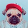 james's profile picture