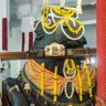 Save BASAVANAGUDI Heritage 的头像