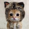 ИнженерЪ's profile picture