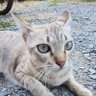 หลานเดร์วี่โจน profil fotoğrafı