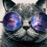 Nacer Djellouli's profile picture