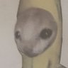 chonque's profile picture