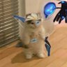 tezlas's profile picture