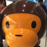 モンチッチ's profile picture