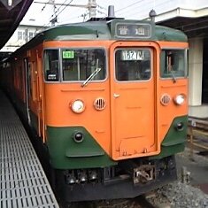 tokihirokoji's profile picture